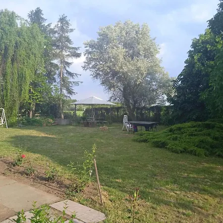 Liget Szallashely Nyirbogdany