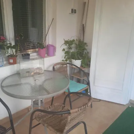 Liget Szallashely * Nyirbogdany